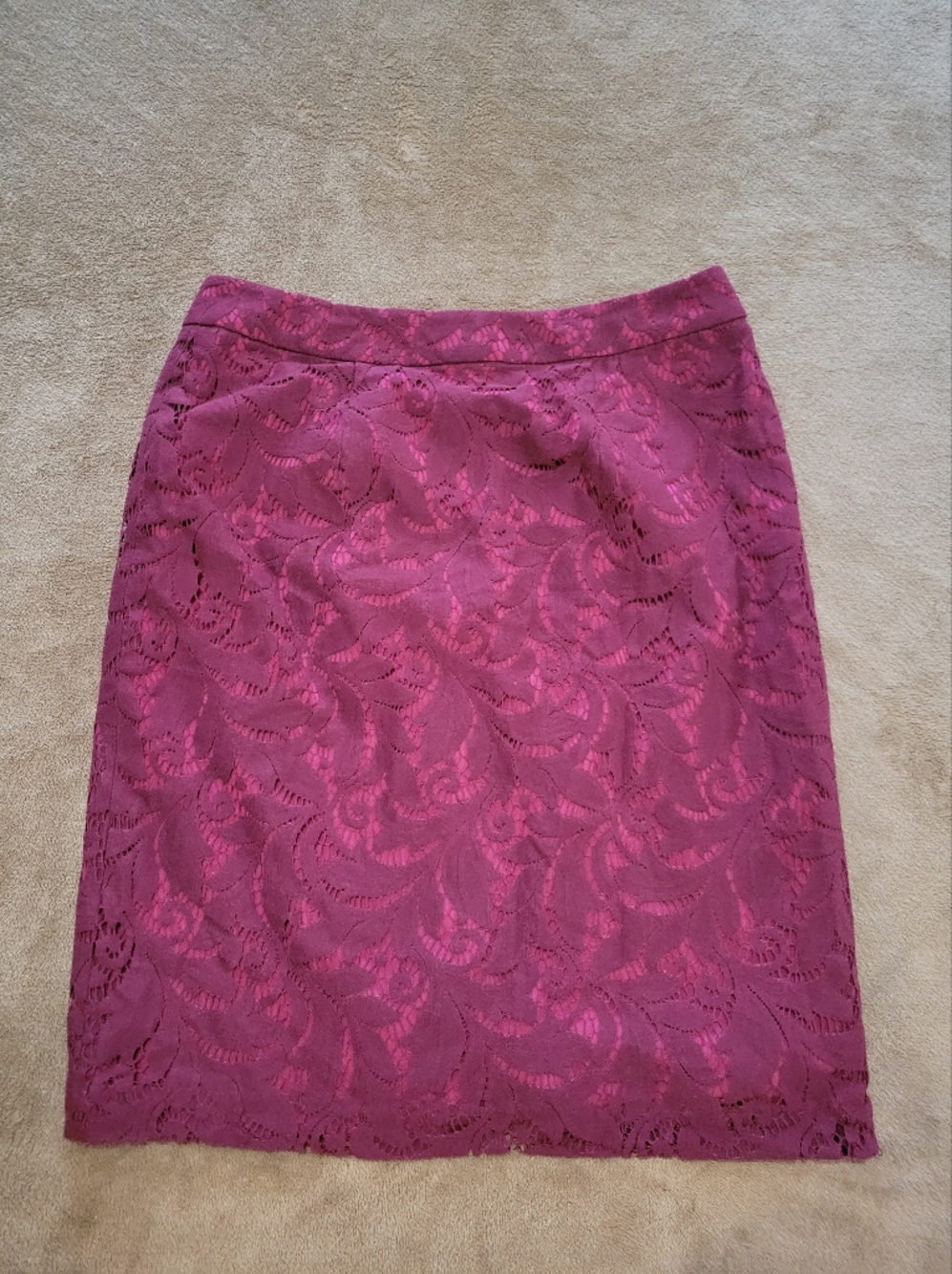 Cabi Lace Pencil Skirt Womens 6 Small Fairycore Feminine Coquette Lined Poetcore